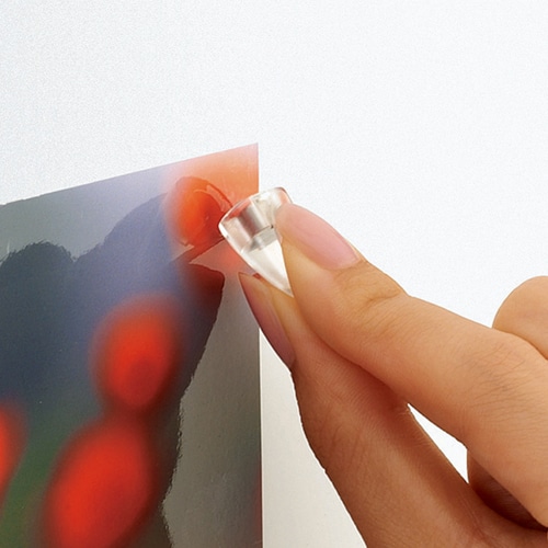 コクヨ 超強力カラーマグネット＜ネオマグ＞ ピンタイプ φ11×16mm 透明ピンク マク-1010NTP 8個/袋（ご注文単位1袋）【直送品】