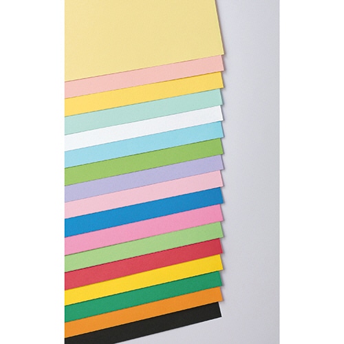 リンテック ニューカラーR 四つ切 ゆき 4NCR-151 100枚/袋(ご注文単位1袋)【直送品】