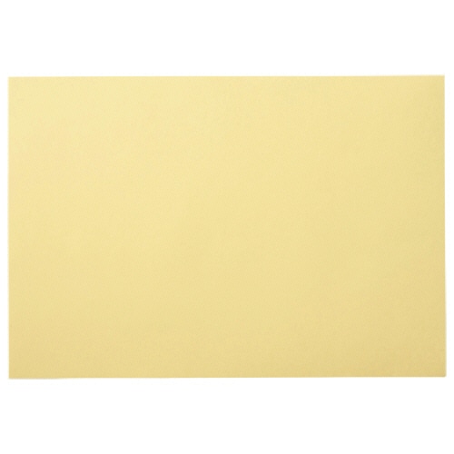 リンテック ニューカラーR 八つ切 クリーム 8NCR-101 100枚/袋（ご注文単位1袋）【直送品】