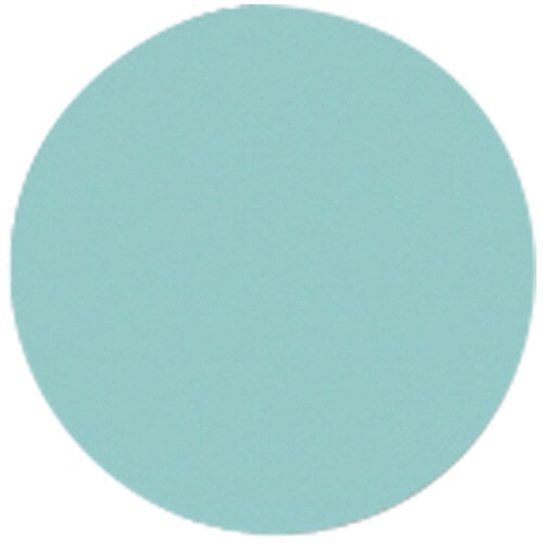 カール事務器 クラフトパンチ スモールサイズ サークル(1cm) CN16A10 1個（ご注文単位1個）【直送品】