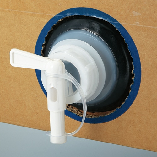 エースインターナショナルジャパン ジャームブロック250ppm BOXタイプ 10L 1箱(ご注文単位1箱)【直送品】