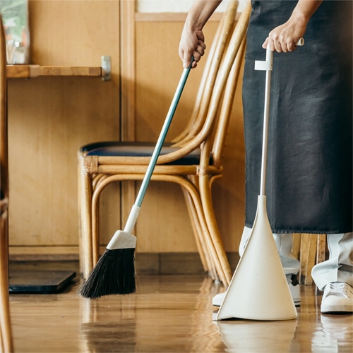 山崎産業 2989.jp+ ダストリー 屋内用 黒シダ 1個(ご注文単位1個)【直送品】