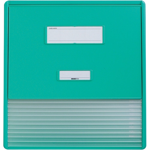 リヒトラブ カラーカードインデックス A3(A4タテ2面) 11ポケット グリーン HC113C-3 1冊（ご注文単位1冊）【直送品】