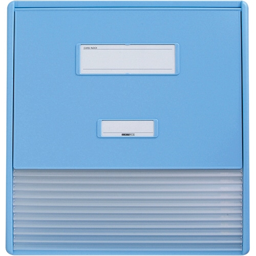 リヒトラブ カラーカードインデックス A3(A4タテ2面) 11ポケット ブルー HC113C-2 1冊（ご注文単位1冊）【直送品】