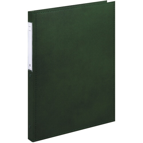 リヒトラブ カルテブック(スタンダード) A4タテ 30穴 背幅28mm グリーン HB408-3 1冊(ご注文単位1冊)【直送品】