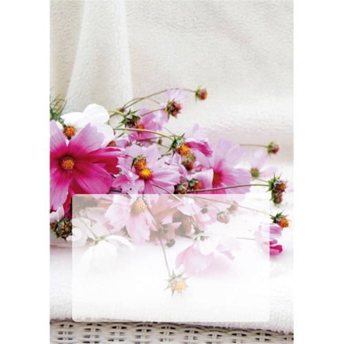 ダイオーミウラ お薬手帳(薄型) 16ページ いぬ 100冊/袋（ご注文単位1袋）【直送品】