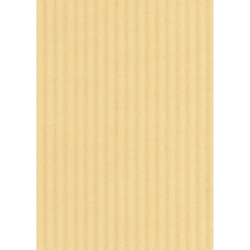 ヒサゴ リップルボード 薄口 A4 クリーム RBU04A4 3枚/袋（ご注文単位1袋）【直送品】