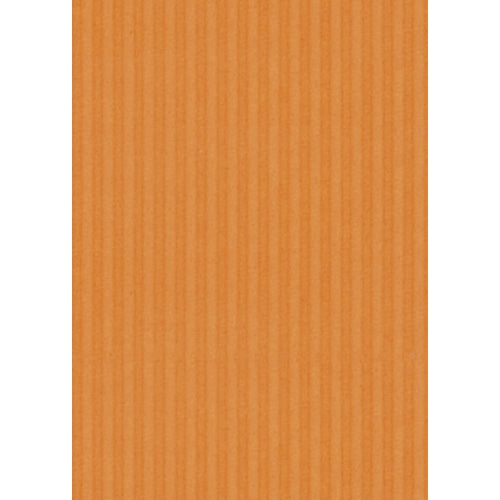 ヒサゴ リップルボード 薄口 A4 オレンジ RBU06A4 3枚/袋（ご注文単位1袋）【直送品】