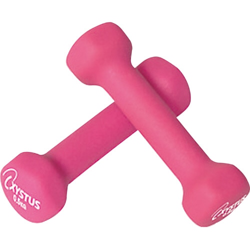 トーエイライト ラバーコートダンベル 0.5kg H9054 2個/袋（ご注文単位1袋）【直送品】