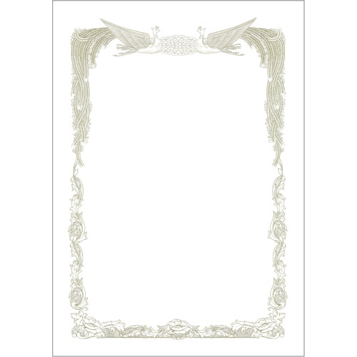 ヒサゴ 賞状枠用紙 A5タテ CJ171A5S 10枚/冊（ご注文単位1冊）【直送品】