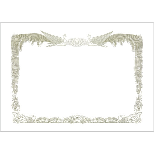 ヒサゴ 賞状枠用紙 A5ヨコ CJ170A5S 10枚/冊（ご注文単位1冊）【直送品】