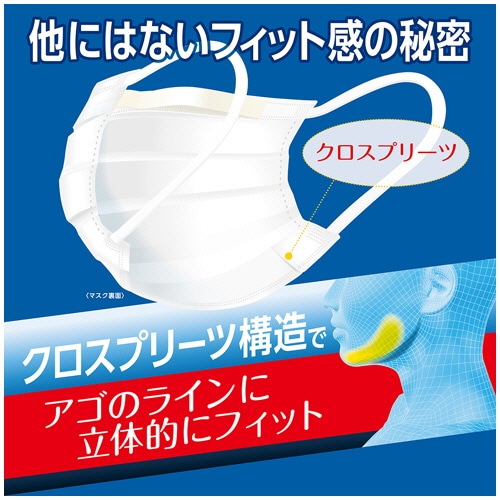 白元アース 快適ガードプロ プリーツタイプ ふつうサイズ 5枚/袋（ご注文単位1袋）【直送品】