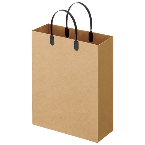 TANOSEE　ラミネートクラフトバッグ　小　ヨコ270×タテ350×マチ幅110mm　黒　1パック（10枚）（ご注文単位1パック）【直送品】