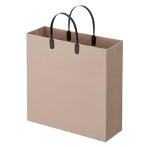 TANOSEE　ラミネートクラフトバッグ　中　ヨコ320×タテ320×マチ幅110mm　黒　1パック（10枚）（ご注文単位1パック）【直送品】