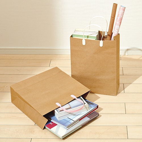 TANOSEE ラミネートクラフトバッグ 中 ヨコ320×タテ320×マチ幅110mm 黒 1パック(10枚)(ご注文単位1パック)【直送品】