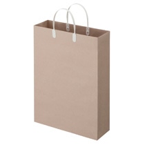 TANOSEE ラミネートクラフトバッグ 大 ヨコ320×タテ440×マチ幅110mm 白 1パック(10枚)(ご注文単位1パック)【直送品】