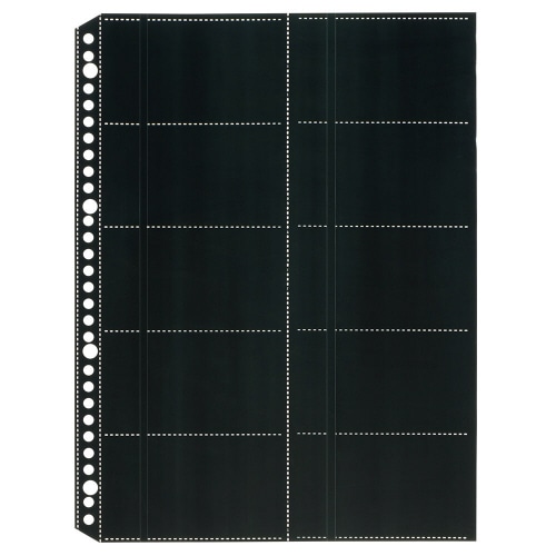 ライオン事務器　名刺ポケット（両面ポケット）　A4タテ　2・4・30穴　両面20ポケット　ヨコ入れ　MP-20BK　1パック（10枚）（ご注文単位1パック）【直送品】