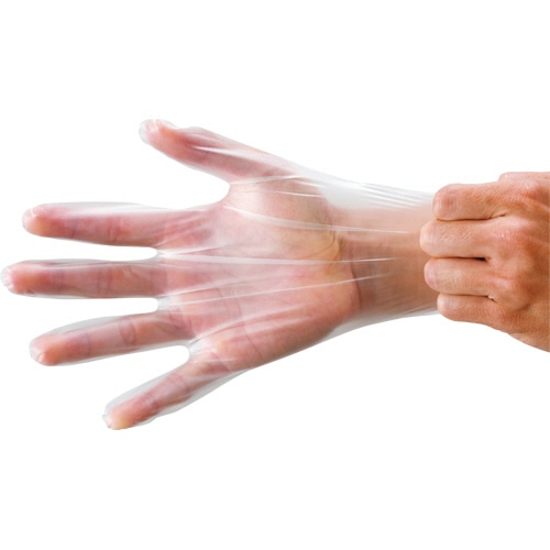 サンフラワー エンゼル しなやかグローブ No.490 L NO.490-L 1箱(250枚)(ご注文単位1箱)【直送品】