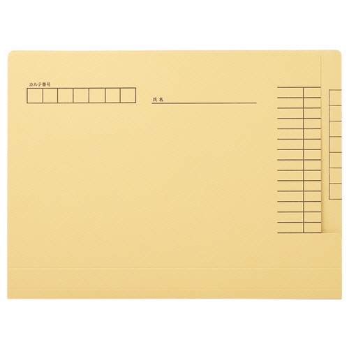 ライオン事務器　カルテフォルダー　ペーパータイプ　A4　KF-1K-50P　1パック（50冊）（ご注文単位1パック）【直送品】