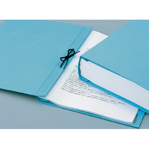 セキセイ　のびーるファイル（樹脂ハトメ）　A4タテ　1000枚収容　背幅13～113mm　白　AE-50J　1冊（ご注文単位1冊）【直送品】