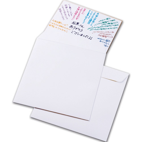 マルアイ　色紙用封筒　255×285mm　シキシ-320　1パック（2枚）（ご注文単位1パック）【直送品】