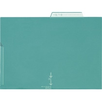 ライオン事務器　PPポケットホルダー　A4　厚さ0.2mm　グリーン　LFS-02PH　1枚（ご注文単位1枚）【直送品】