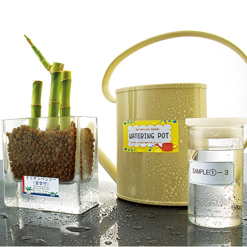 コクヨ　カラーレーザー＆カラーコピー用耐水紙ラベル　A4　8面　95×65mm　LBP-WP6908N　1冊（20シート）（ご注文単位1冊）【直送品】