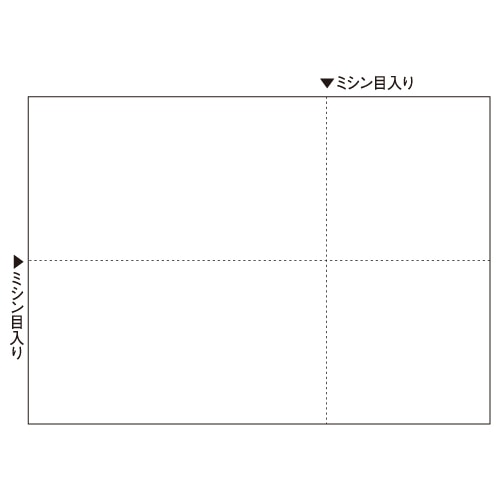 ヒサゴ　マルチプリンタ帳票　A4　白紙（EIAJ対応）　BP2066　1冊（100枚）（ご注文単位1冊）【直送品】