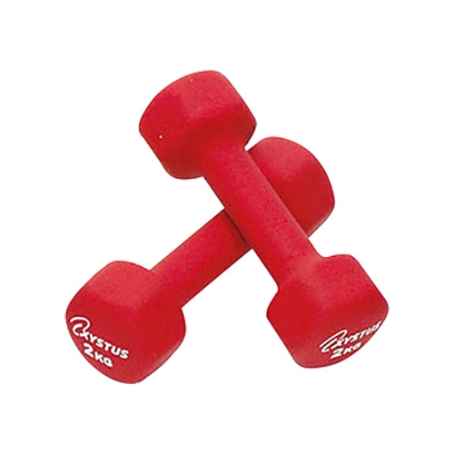 トーエイライト　ラバーコートダンベル　2kg　H9060　1セット（2個）（ご注文単位1セット）【直送品】
