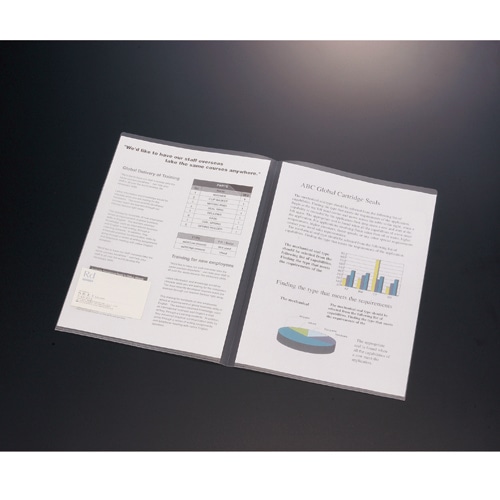 G-Aim クリアホルダー ダブルポケット A4(見開きA3) YF-530 1パック(10枚)(ご注文単位1パック)【直送品】