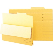 ライオン事務器　持出しフォルダー　B4　B4-APF-R　1冊（ご注文単位1冊）【直送品】