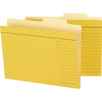 ライオン事務器　個別フォルダー　A4判　A4-IF-R　1冊（ご注文単位1冊）【直送品】