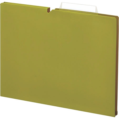 コクヨ 個別フォルダー(NEOS) PP製 A4 マチ幅15mm ライトオリーブ A4P-NEF15GX10 1パック(10冊)(ご注文単位1パック)【直送品】