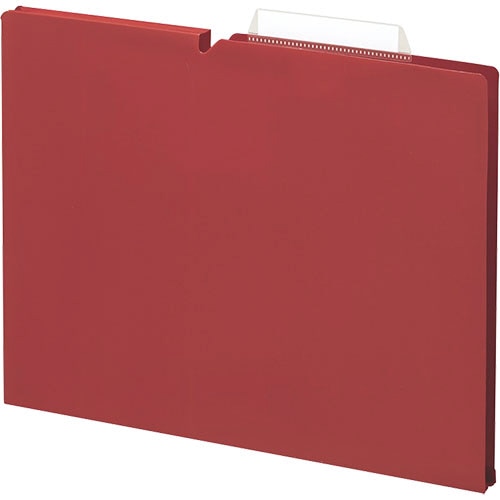 コクヨ 個別フォルダー(NEOS) PP製 A4 マチ幅15mm カーマインレッド A4P-NEF15RX10 1パック(10冊)(ご注文単位1パック)【直送品】