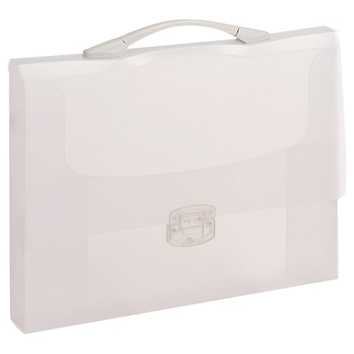 ビュートン　スマートキャリア　Gボックス　A4　背幅40mm　クリヤー　SGX-A4-C　1個（ご注文単位1個）【直送品】