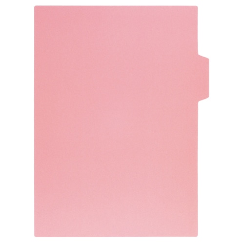 プラス シンプルワーク カラーインデックスシート A4 5色5山 FL-103CH 1組(ご注文単位1組)【直送品】