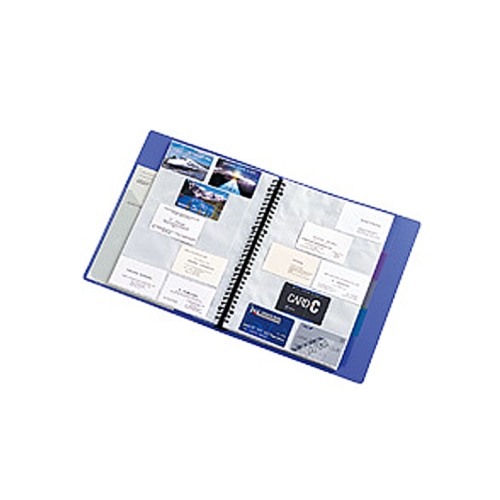 リヒトラブ リクエスト カードポケット(お徳用パック) A4タテ 2・4・30穴 両面20ポケット ヨコ入れ グレー台紙 G49050 1パック(20枚)(ご注文単位1パック)【直送品】