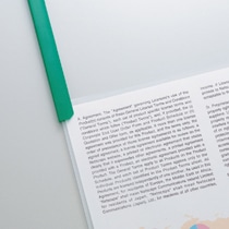 TANOSEE スライディングレールホルダー A4タテ 20枚収容 イエロー 1パック(10冊)(ご注文単位1パック)【直送品】