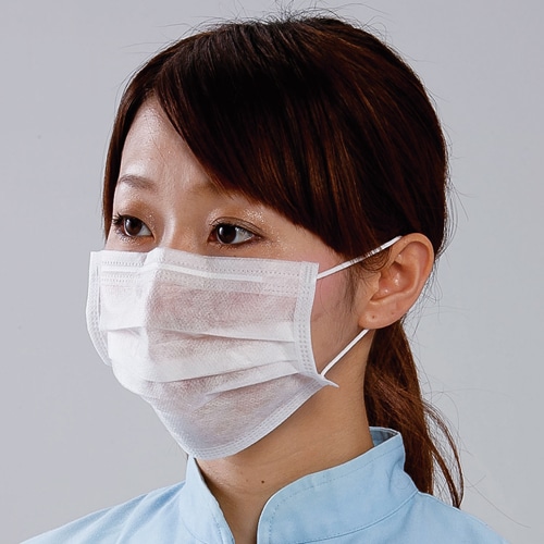 川西工業　フレッシュマスク　2PLY　1パック（100枚）（ご注文単位1パック）【直送品】