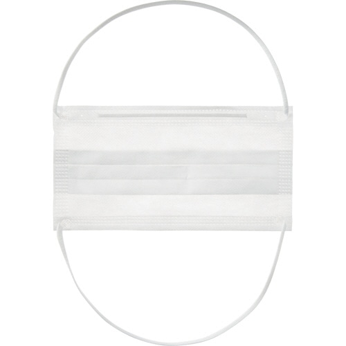 川西工業 フレッシュマスク 2PLY オーバーヘッド 1箱(100枚)(ご注文単位1箱)【直送品】