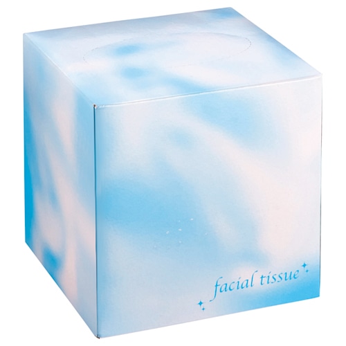 大一紙工　フェイシャルティッシュ　サイコロBOX　80組　ブルー　1箱（ご注文単位1箱）【直送品】