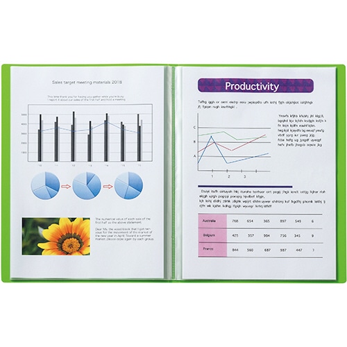 ライオン事務器 クリアーブック MINANO(ミナノ) A4タテ 10ポケット 背幅8mm ブラック CR-10M 1冊(ご注文単位1冊)【直送品】