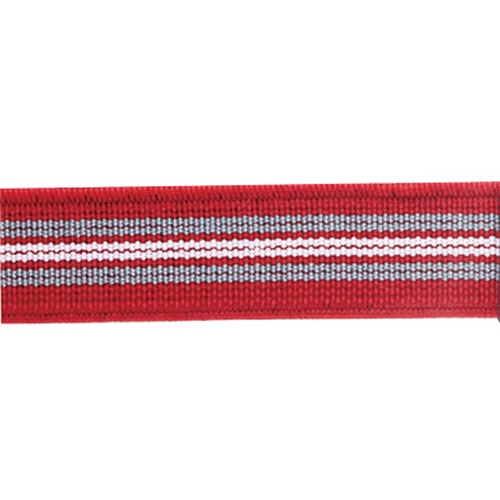 ライオン事務器　ゴムdeパッチ　バンド幅15×長さ600mm　スタンダード　レッド　GP-150　1個（ご注文単位1個）【直送品】