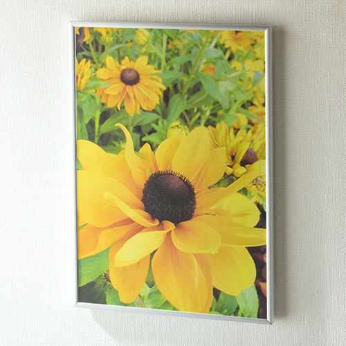 アートプリントジャパン　スタイリッシュプラス（低反射）　A4　シルバー（B5マット付）　1000103718　1枚（ご注文単位1枚）【直送品】