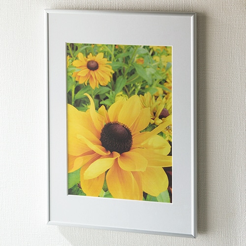 アートプリントジャパン　スタイリッシュプラス（低反射）　A4　シルバー（B5マット付）　1000103718　1枚（ご注文単位1枚）【直送品】