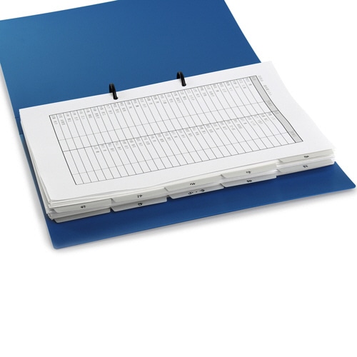 プラス　たすけあ　レセプト用4-3月インデックス　A4タテ　6山2組　グレー　FL-809IS　1パック（ご注文単位1パック）【直送品】