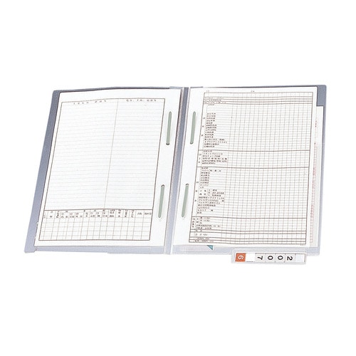 リヒトラブ　カルテフォルダー　ダブルファスナー付　A4ヨコ　見出し紙付　下見出しタイプ　HK716U　1箱（50枚）（ご注文単位1箱）【直送品】