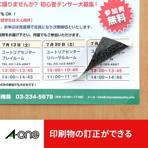 エーワン　ラベルシール［プリンタ兼用］　下地がかくせて透かしても読めない修正タイプ　マット紙・ホワイト　A4　ノーカット　31660　1冊（50シート）（ご注文単位1冊）【直送品】