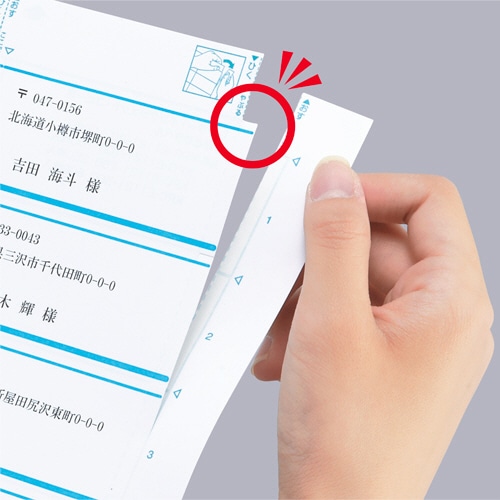 コクヨ プリンタを選ばない はかどりラベル(各社共通レイアウト) A4 30面 25.4×53.3mm KPC-E1301-100N 1冊(100シート)(ご注文単位1冊)【直送品】