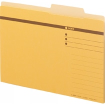 ライオン事務器　個別フォルダー　A4判ピッタリサイズ　A4Mini-IF-R　1冊（ご注文単位1冊）【直送品】